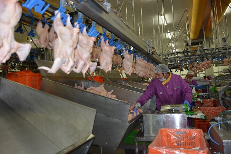 Japonlar Türk tavuğu yiyecek