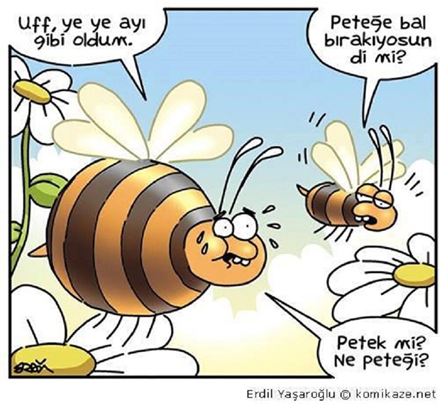 Ne peteği?