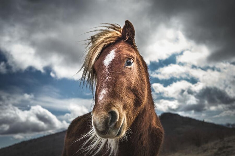 Muhteşem bir güzellik