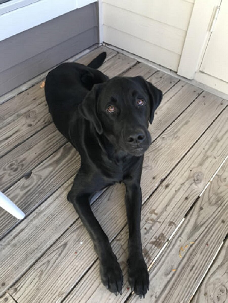 Olmadık zamanda gelen sırt kaşıntısı