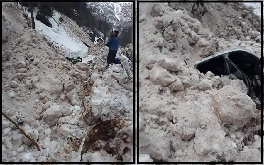 Artvin