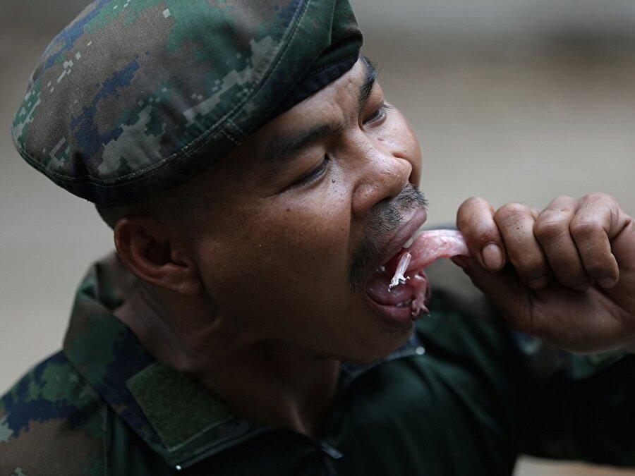 Yılanın haricinde Tayland ordusu, Amerikan askerlerine gecko yemeyi de öğretiyor.
