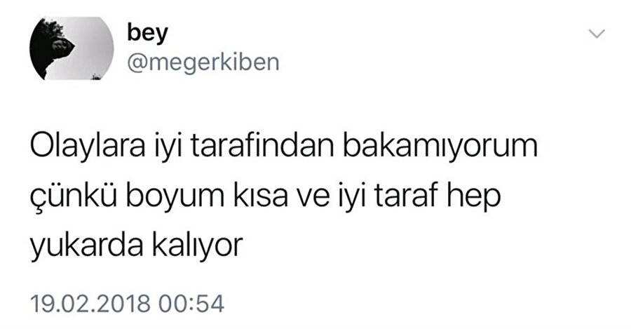 Kısa boy problemleri​