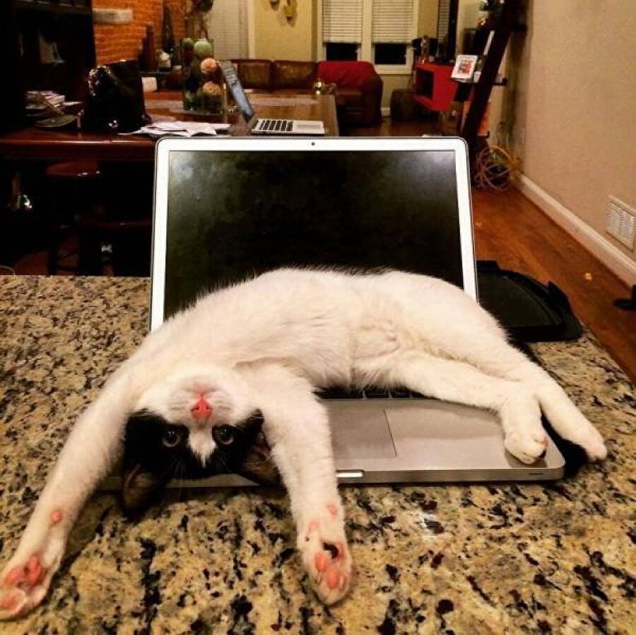 ​Bilgisayarı kapat benimle ilgilen..