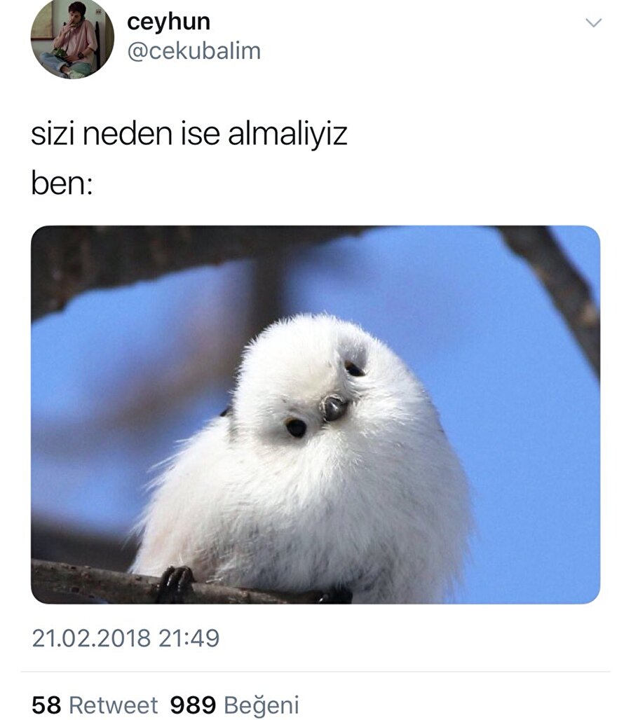 "Çünkü tatlıyım"​