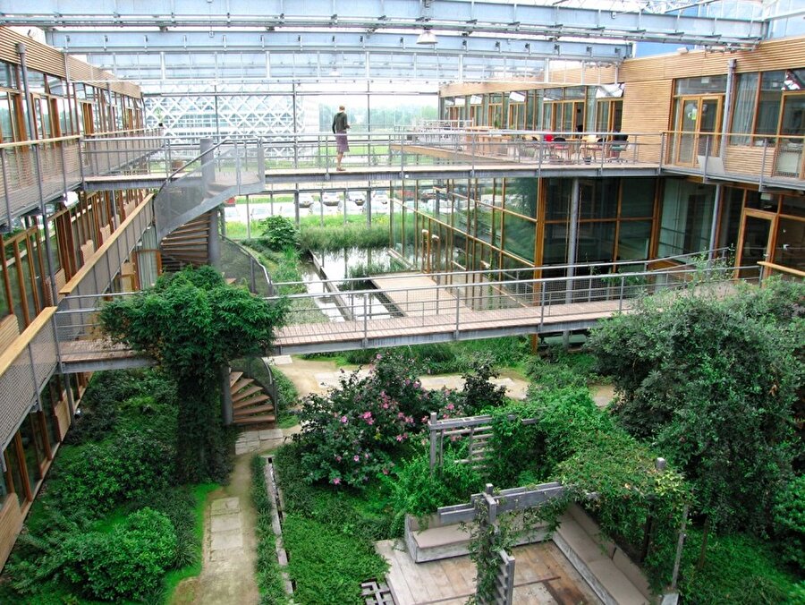 Wageningen Üniversitesi- Hollanda'nın başkenti Wageningen'de, Amsterdam'dan 50 mil uzakta bulunan üniversite, tarım ve ormancılık bölümü okuyan öğrenciler için cennet gibidir.
