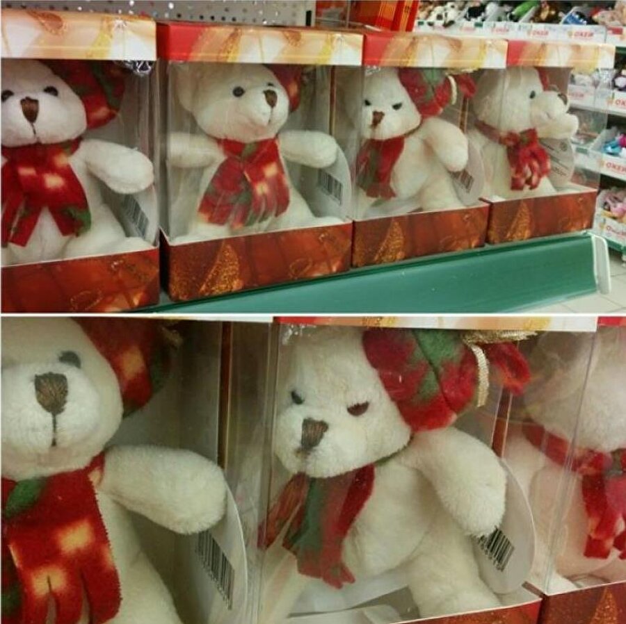 O ayı gibi her şeye sinirleniyorum​