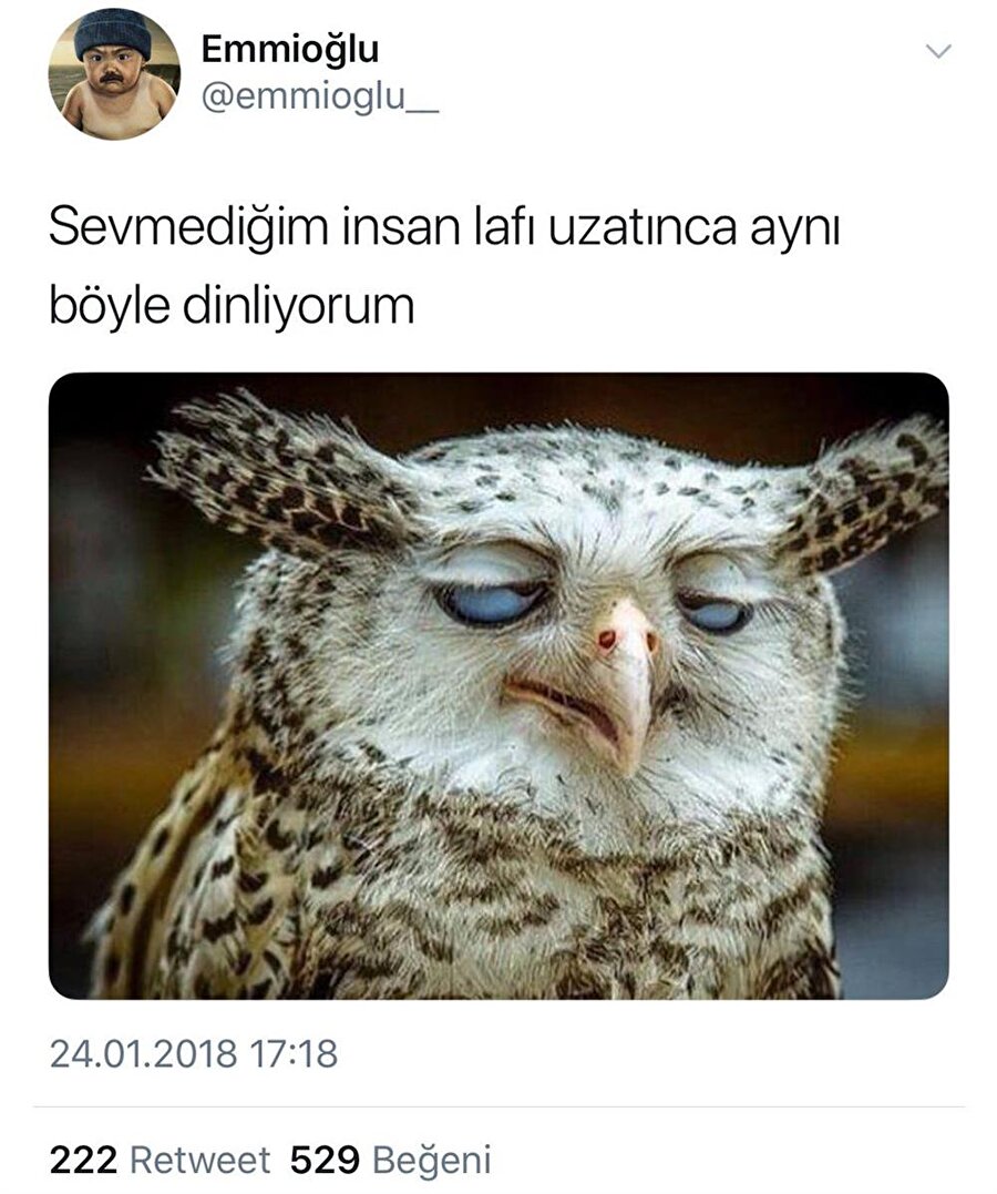Bir sonraki aşama ölü taklidi