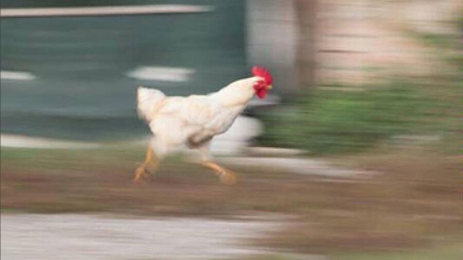 "​İşe geç kaldım" koşuşu