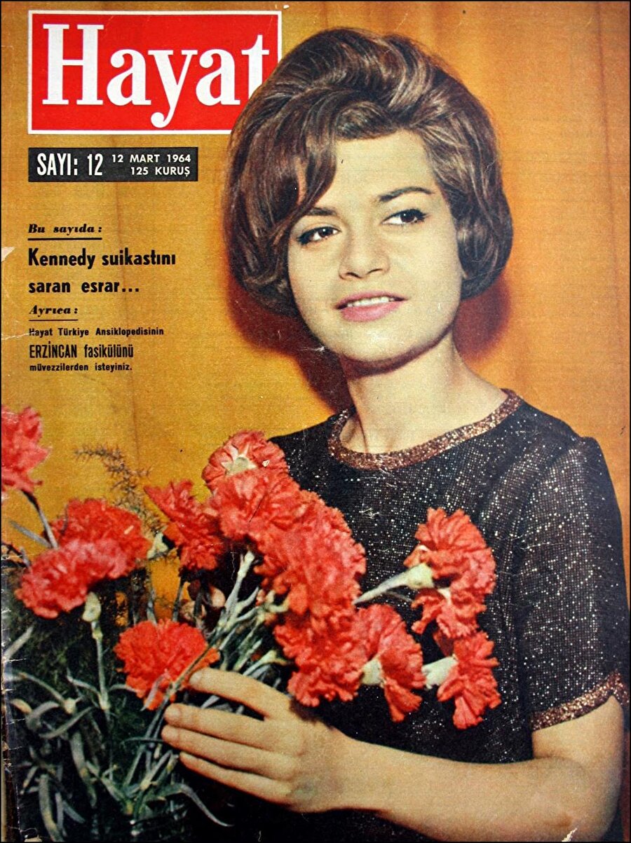 Nezihe Araz, Hikmet Feridun Es, Semiha Es, Şevket Rado, Yılmaz Öztuna, Naşit Hakkı Uluğ, Rakım Çalapala, Nihat Menteşe yazar kadrosunda yer alan isimlerdendi. Refik Halit Karay'ın “Karlı Dağdaki Ateş”, Halide Edip Adıvar'ın “Akile Hanım Sokağı” ve “Kızıl Hançerler”, Kerime Nadir'in “Sisli Hatıralar” gibi romanları Hayat Mecmuası’nda resimli romanı yapılan eserlerden oldu.