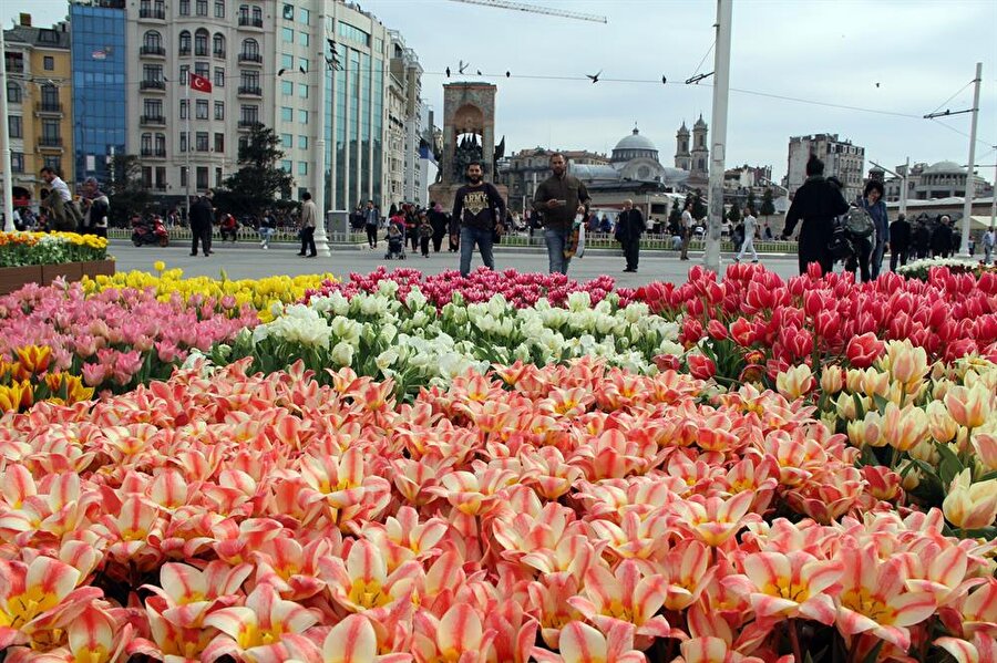30 Nisan'a kadar devam edecek Lale Festivali kapsamında; Taksim Cumhuriyet Anıtı ve havuzlar arasına 72 adet 1,2x1,2 metrekare ölçülerinde kare saksı ile 54 adet 2,4x0,8 metrekare ölçülerinde dikdörtgen saksı konuldu.
