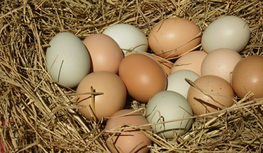 Örneğin, Ankara'da organik yumurta yetiştiriciliği yapan bir işletme için "0TR060000060000-01" damgası basılacak. Bakanlık yetkililerince pazartesi gününden itibaren bu kapsamda denetimler yapılacak. İşletmelerin yanı sıra marketlere de denetime gidilecek. Bakanlıkça, market raflarındaki yumurtaların kodlarına ve işletmelerdeki yetiştirme koşullarına bakılarak, kod numarasıyla uyum aranacak.
