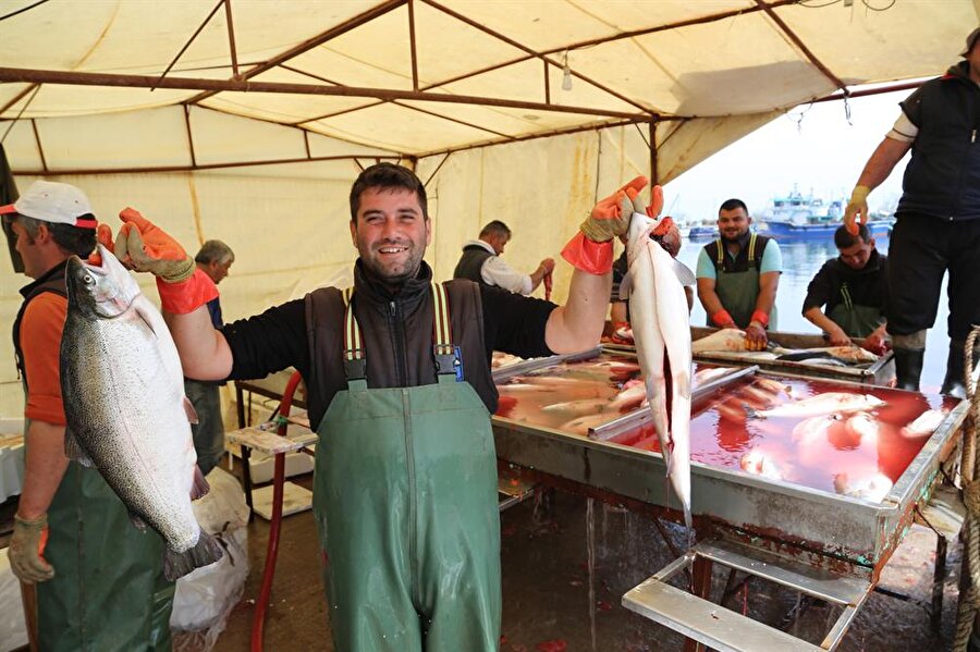 Ordu'da üretilen somonun tanesi 150 liradan alıcı buluyor.