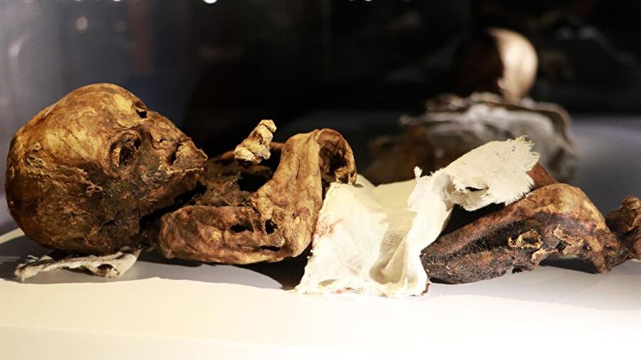 Dünyanın 10 sırrı