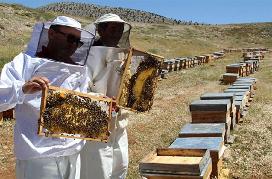Gıda, Tarım ve Hayvancılık Bakanlığı, organik bal üreticisini destekleyici projesini Resmi Gazete'den açıkladı.