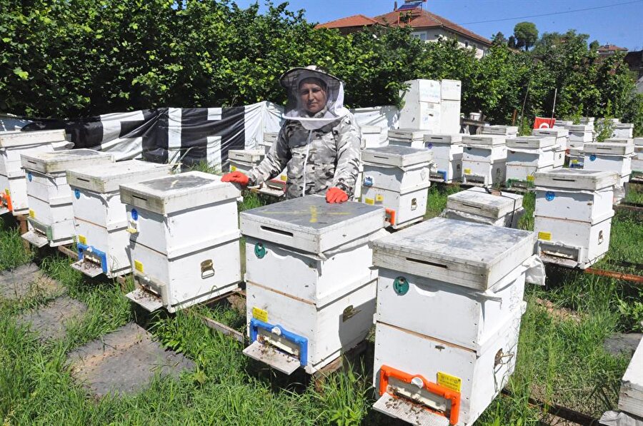 Aldığı destekle ilçeye bağlı Süleymanbeyler köyündeki evinin
yakınında 1 dönümlük arazide 40 kovan ile arı sütü üreticiliğine başlayan
Morcu, gün geçtikçe kovan sayısını arttırarak 75'e yükseltti.