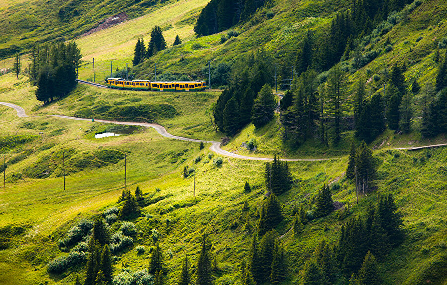 Avrupa'nın en yüksek tren istasyonu...

                                    Tren yolculuğunu harika bir deneyime taşıyan bu rota, Avrupa'nın en yüksek tren istasyonu...
                                