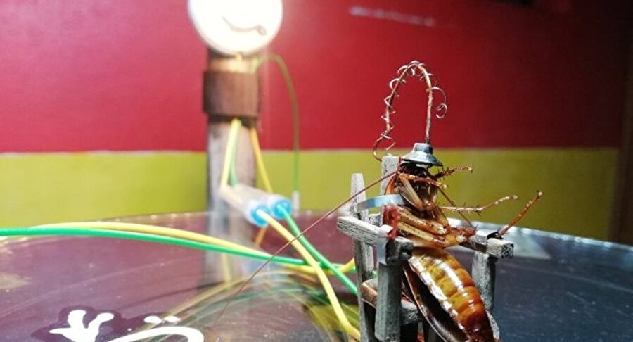 Gabriel Tuazon, evine giren hamam böceğini kendi tasarladığı elektrikli sandalyede idam etti.