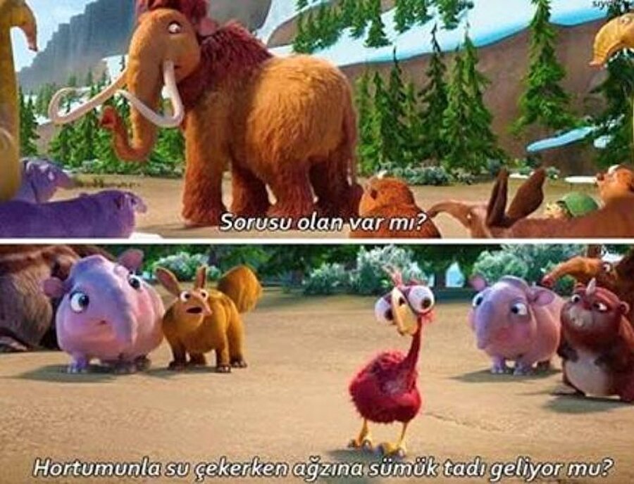 Bak ben de merak ettim şimdi