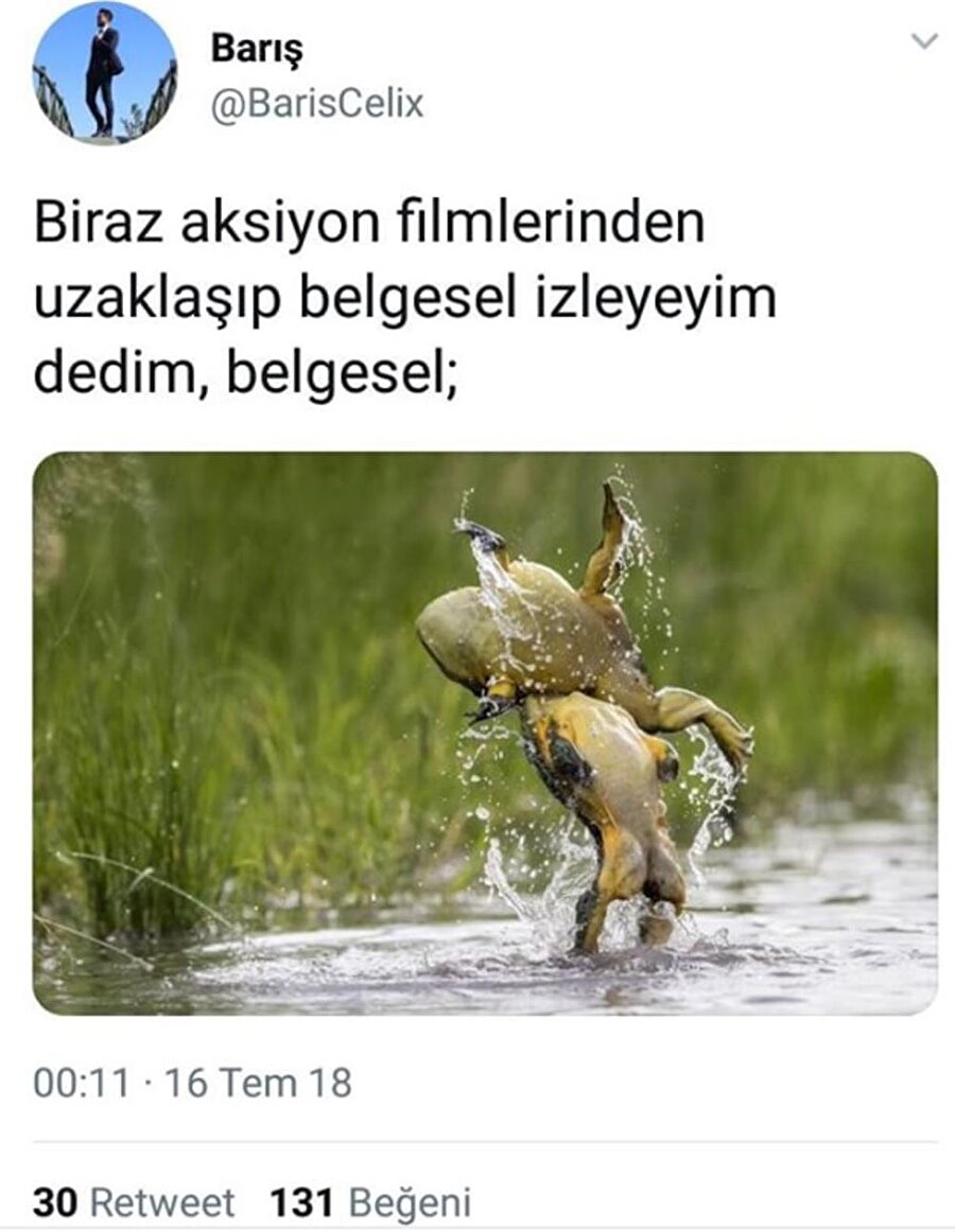 ​Asıl aksiyon belgesellerde gösteriliyor