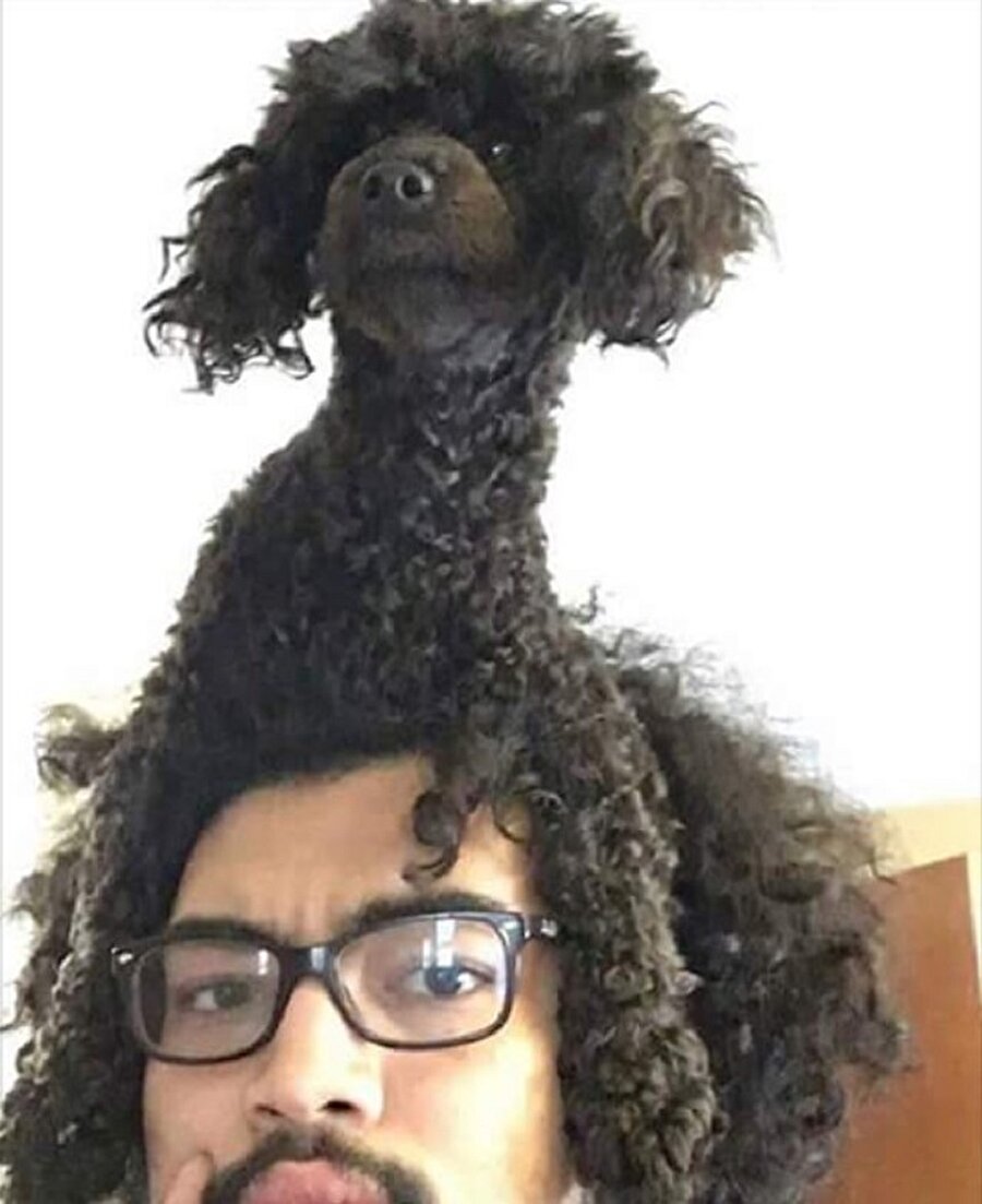 Saçın köpeği var