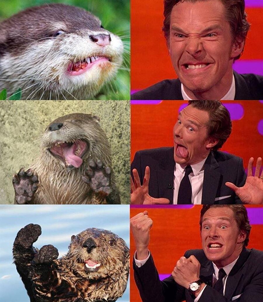 Benedict Cumberbatch'in sempatik halleri