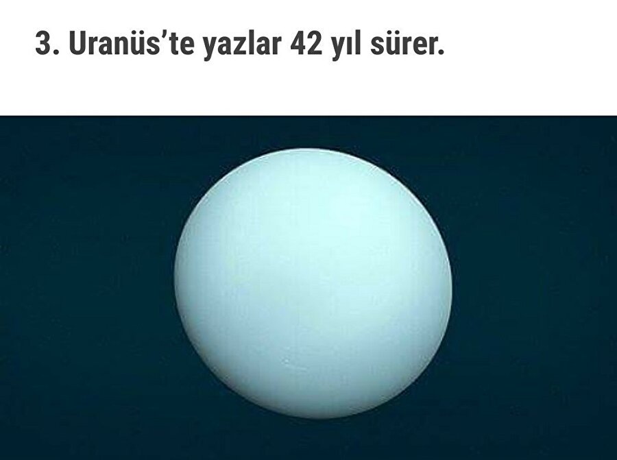 ​Bu bilgiyi Şeyma Subaşı öğrenmesin