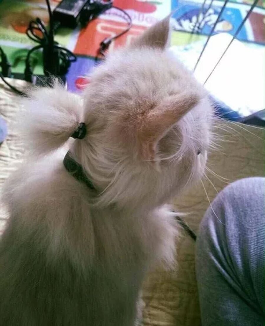 Fotoğraf atamam saçım falan berbat ev halimleyim