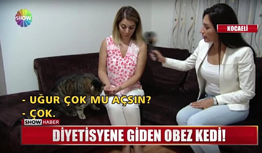 ​Kedi Uğur'un cevabı yürekleri dağladı