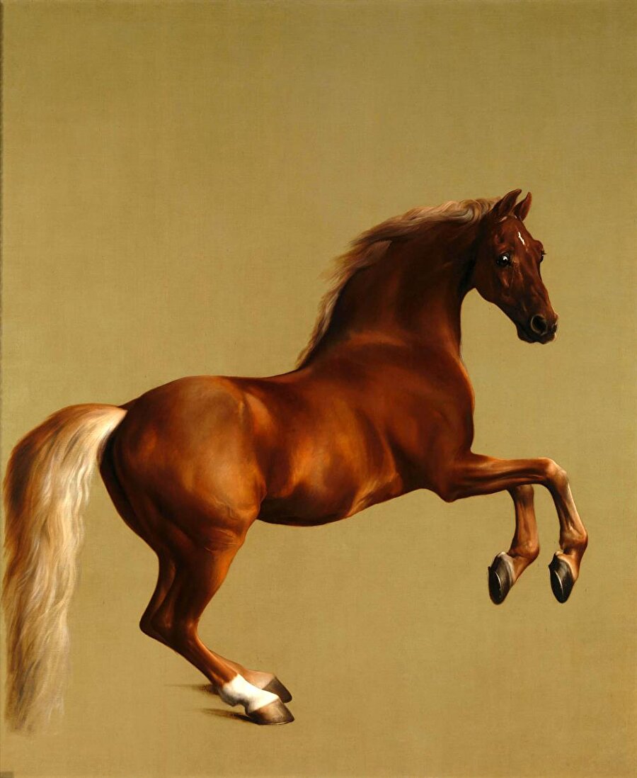 Whistlejacket, George Stubbs, 1762