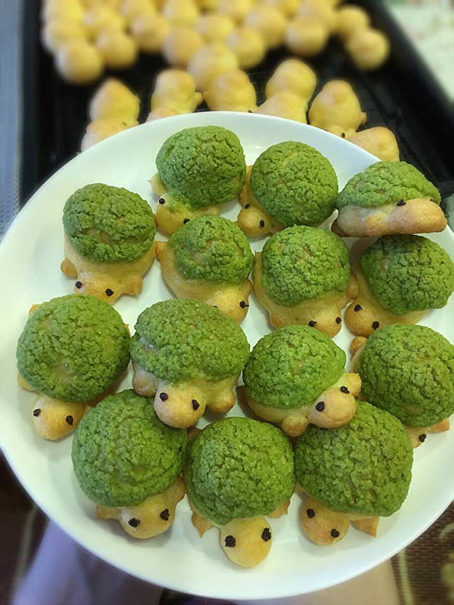 Kaplumbağa turtaları