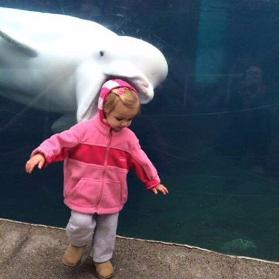 Ben olsam ben de yemek isterdim