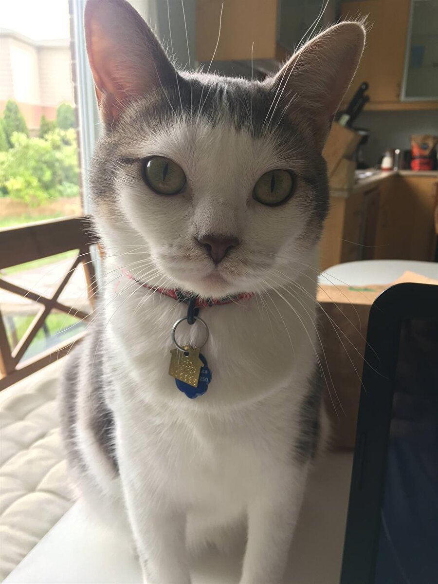 Çok yakışıklısın​