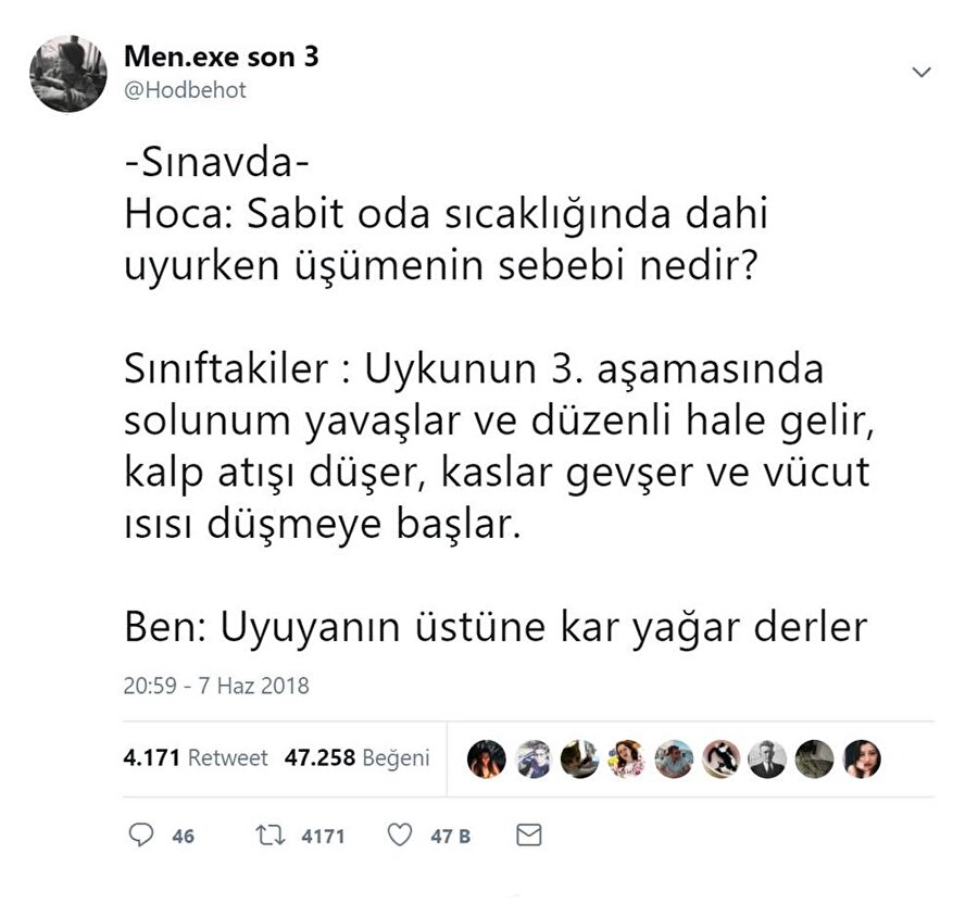 ​Uyuyanın üstüne kar yağar derler