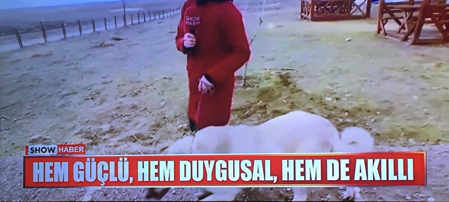 ​Haberlere çıkmışım