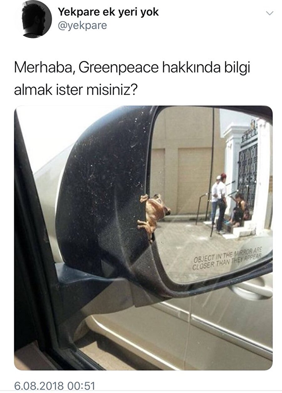 İstemiyoruz kurbağa kardeş acelemiz var