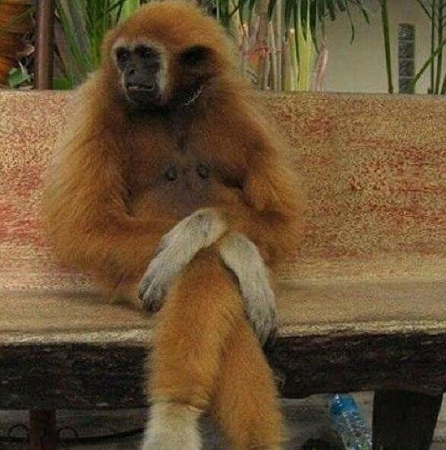 Ayten'in kızı da evde hiç iş yapmıyormuş diyorlar