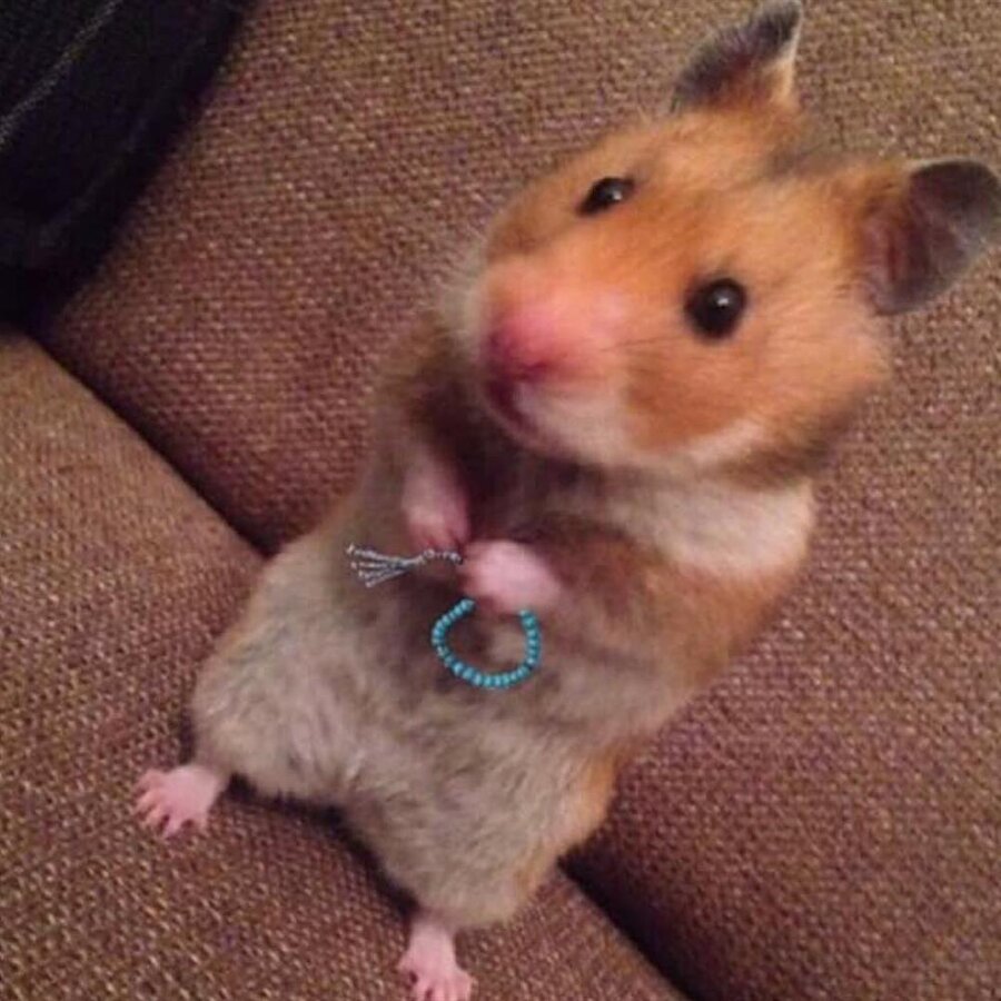 Şu talaşı değiştir çabuk benim canımı sıkma