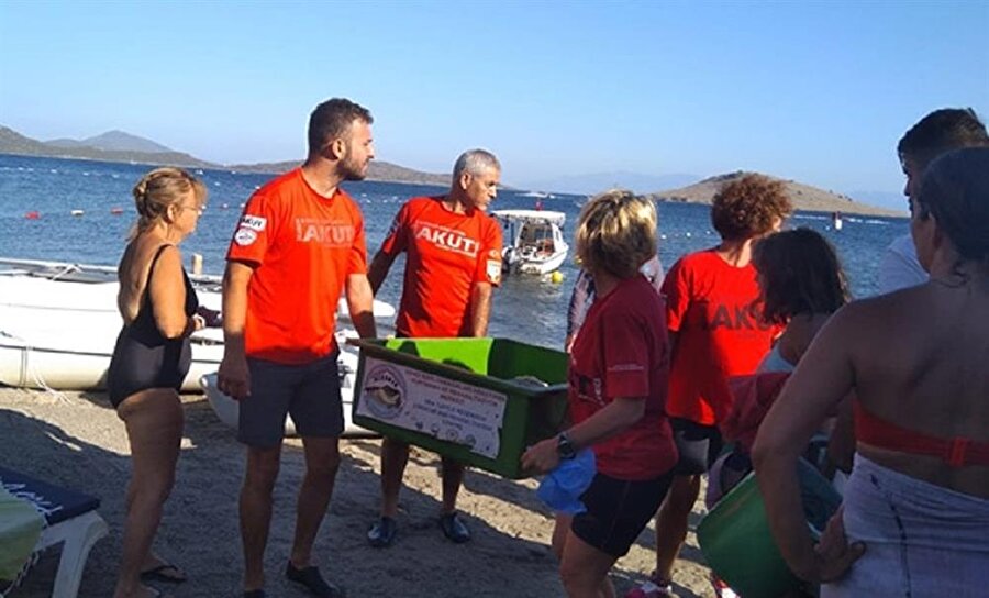 Denizden çıkarılan dev kaplumbağa turistleri şaşkına çevirdi.