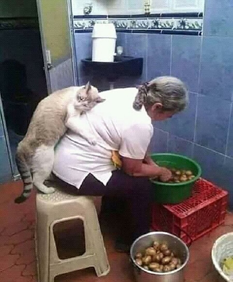 Anne valla bi daha yapmiycam