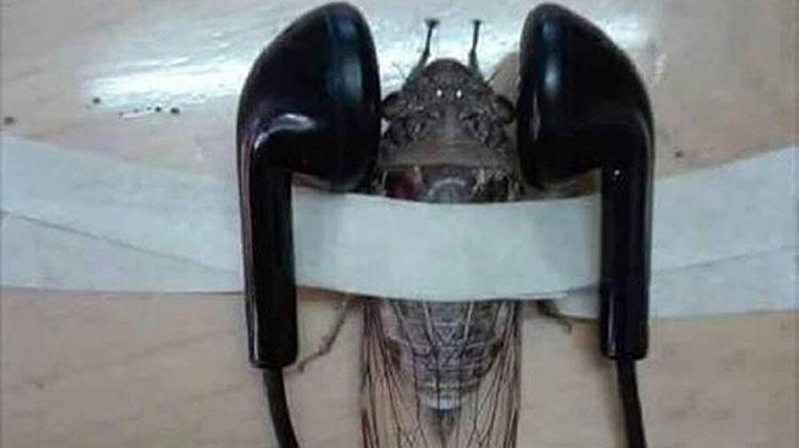 Y.D’nin paylaştığı fotoğraf sosyal medyada tepki çekti.