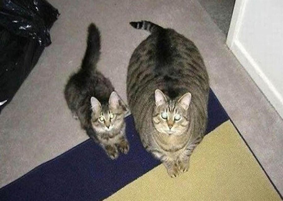 Bayramdan önce / Bayramdan sonra