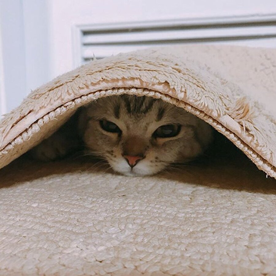 Bugün hiç dışarı çıkasım yok