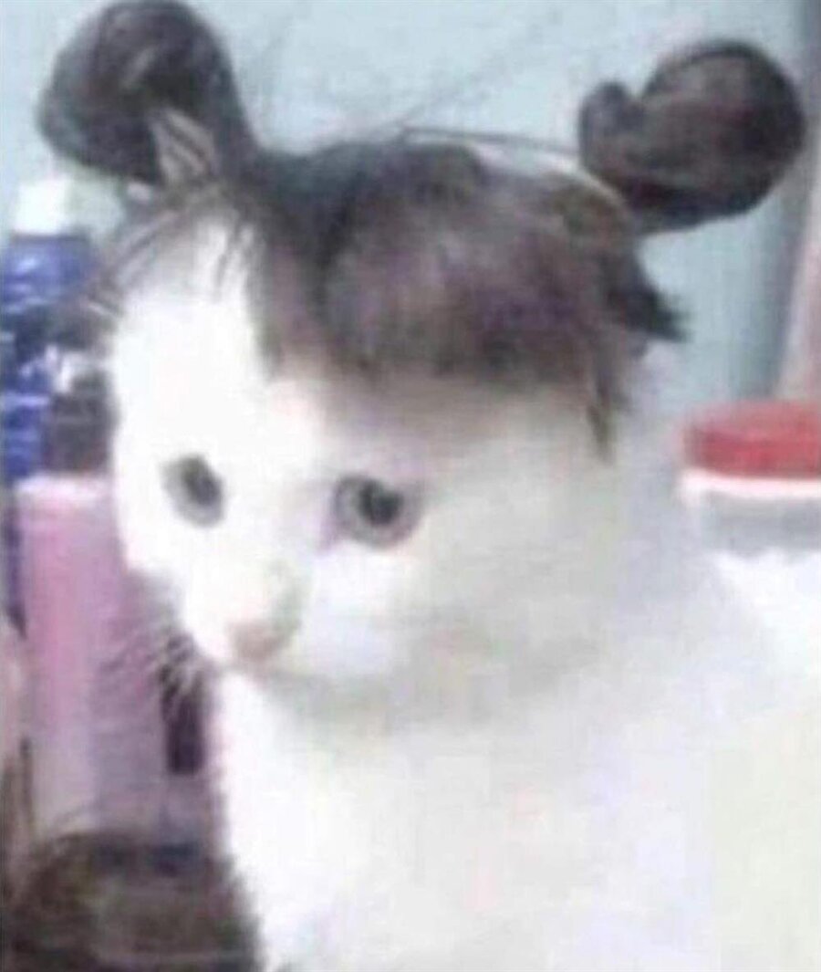 Kuaförden dağınık topuz istedikten sonraki sonuç: