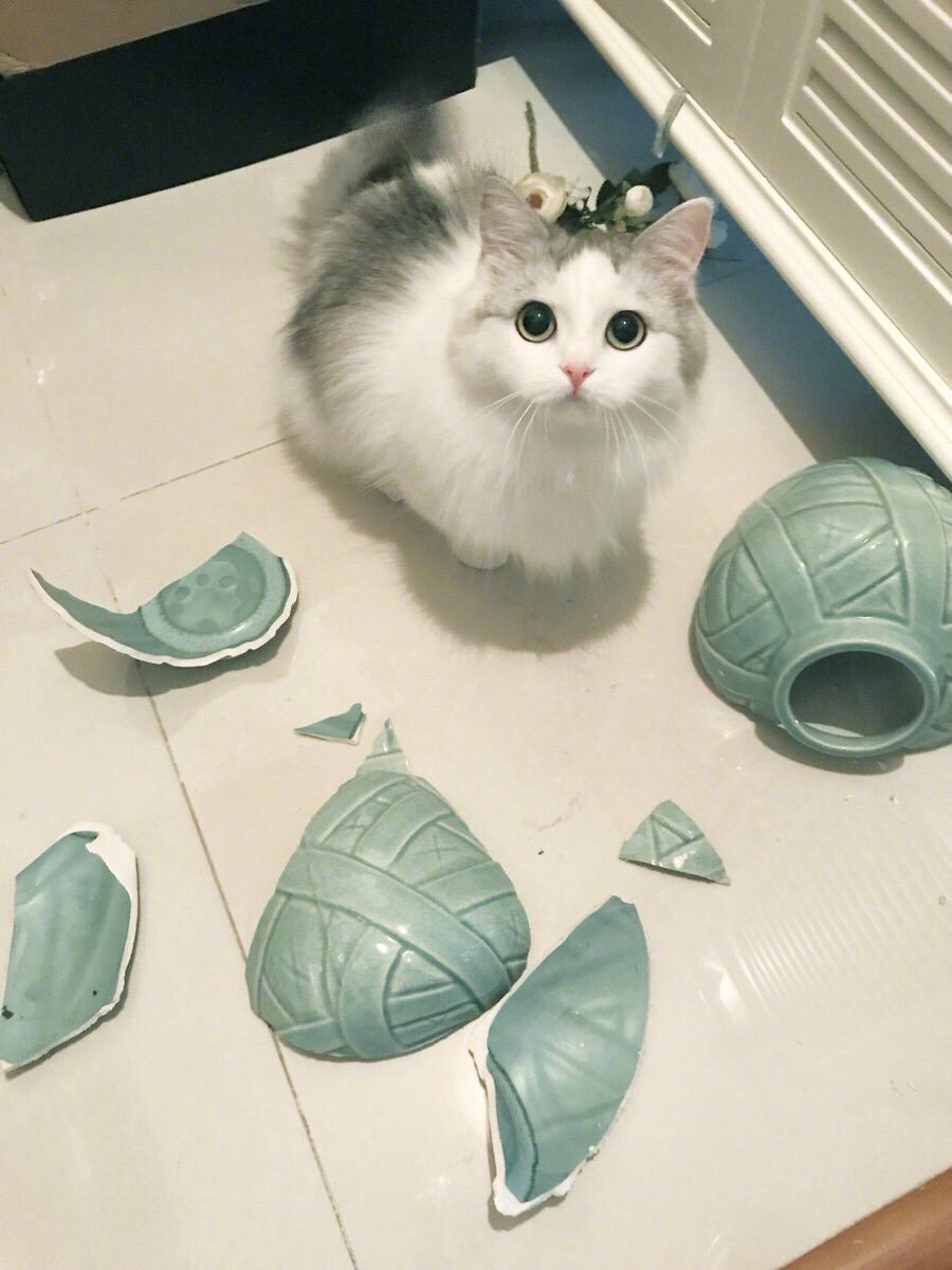 Noldu ki neye baktınız