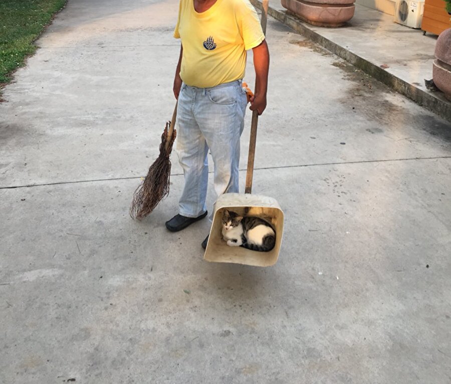 Fazla kedileri süpüren amca