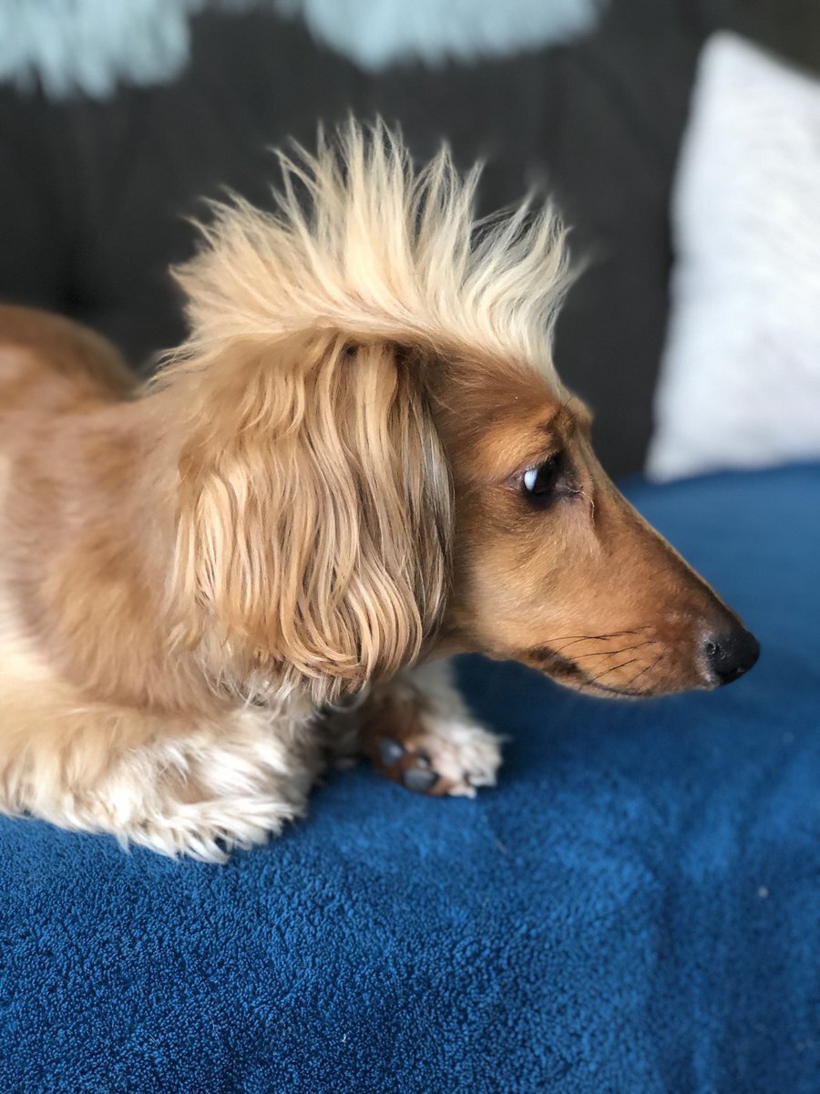 Kuaförden mutsuz çıkınca ben