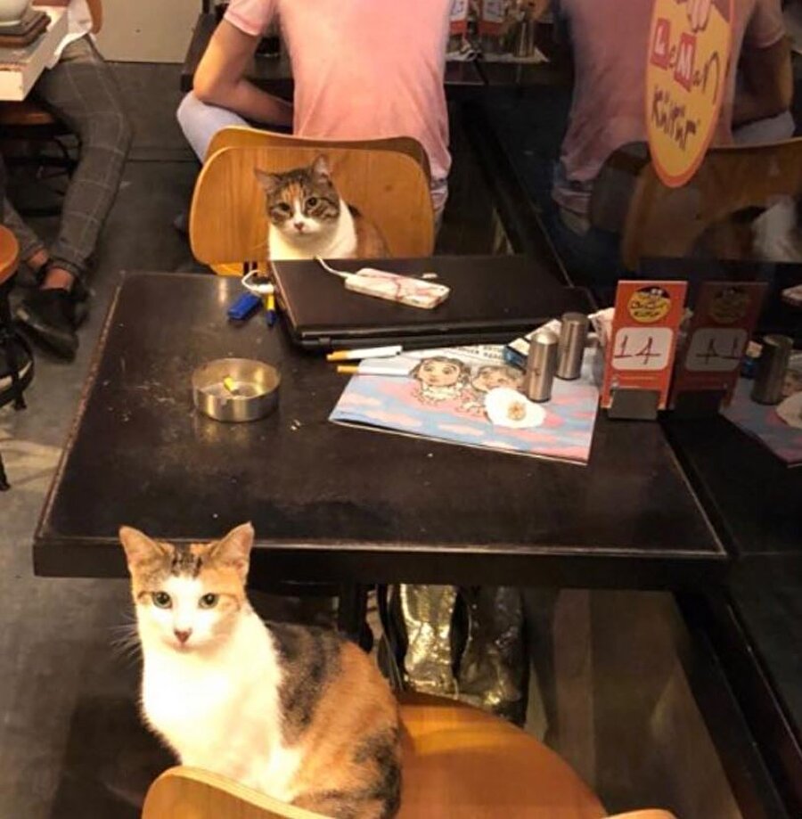 2'li yaş mama menü alabilir miyiz?