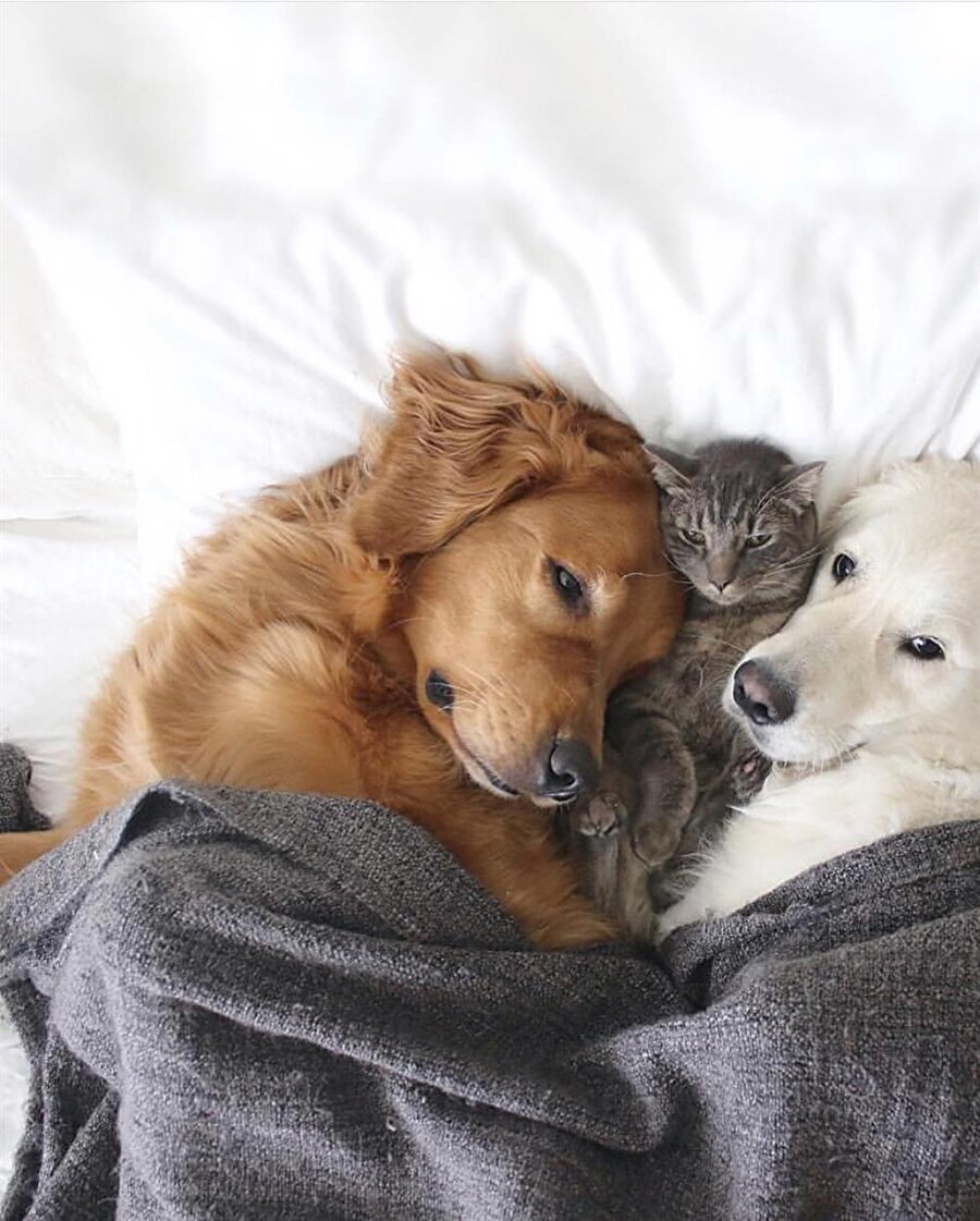 Birileri gece korkmuş