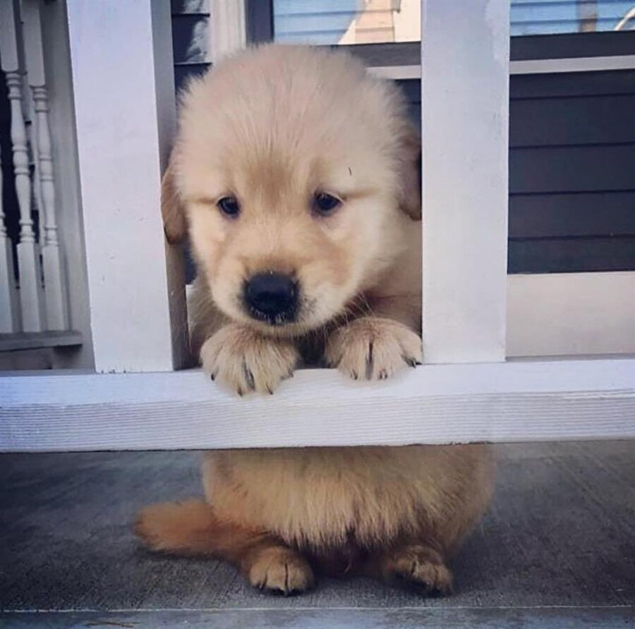 Sıcakların bitmesini bekliyor